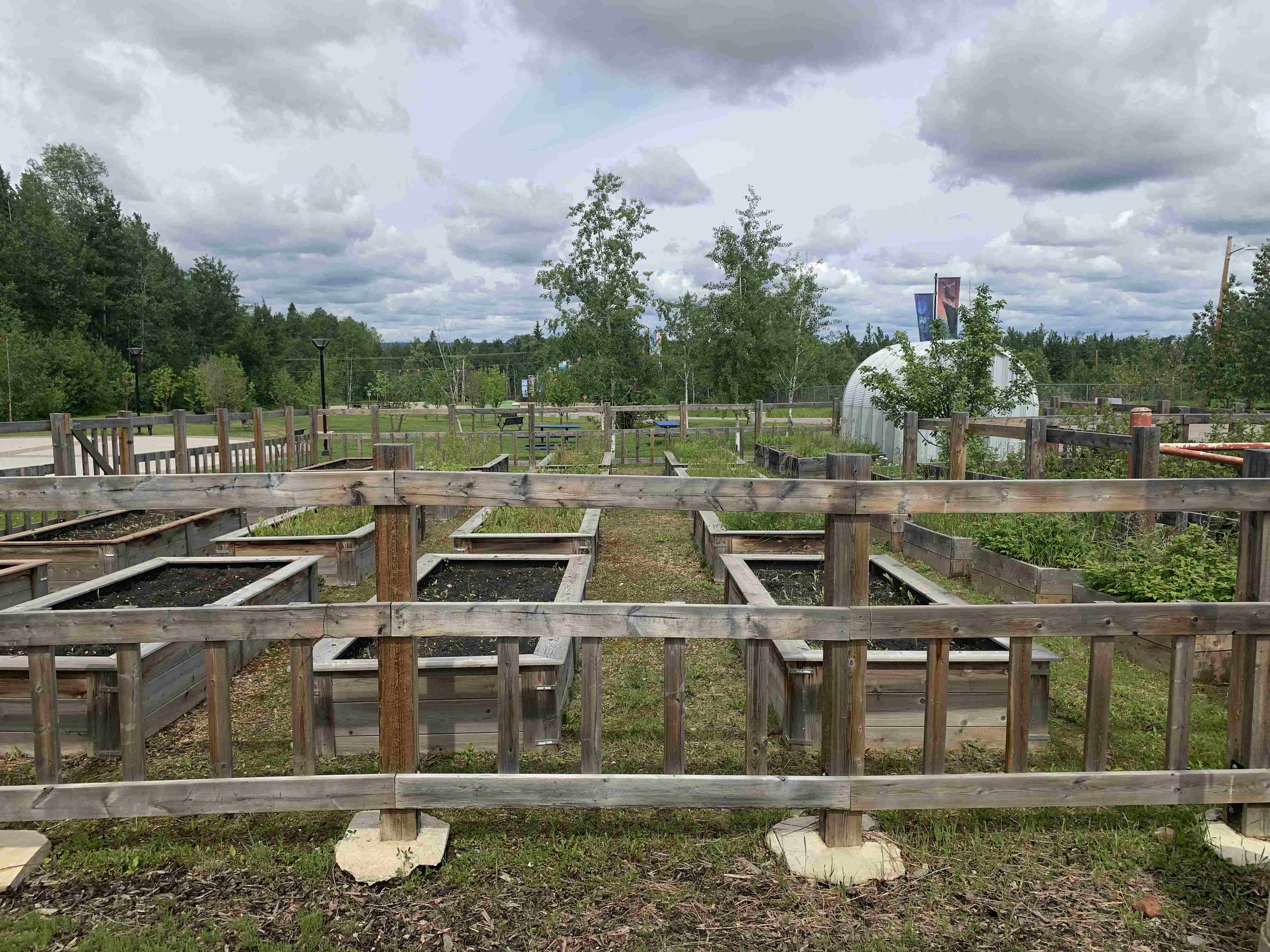 Janvier Community Garden