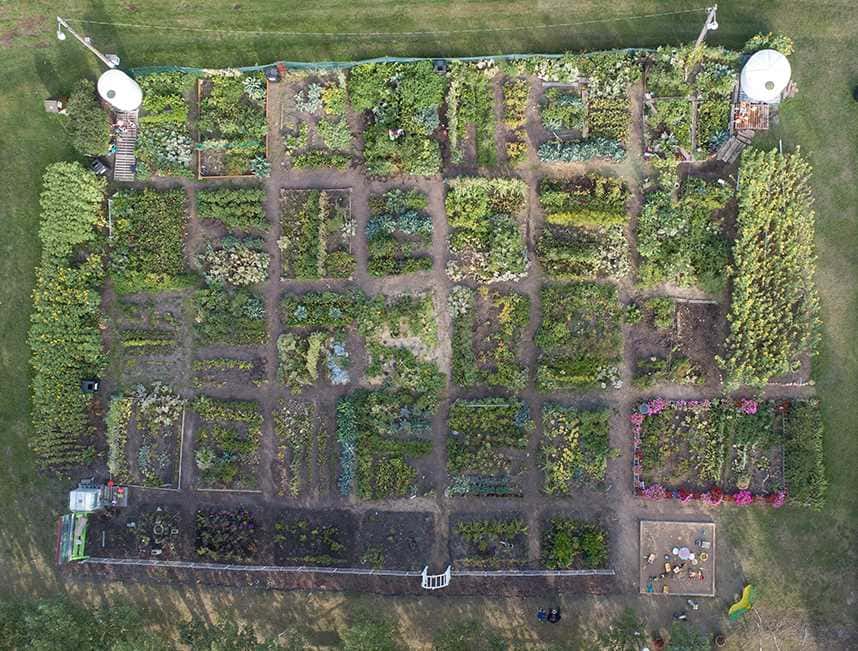 Community garden top view