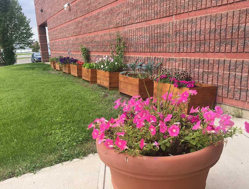 Public School Garden